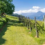 Ferienwohnung Pinot