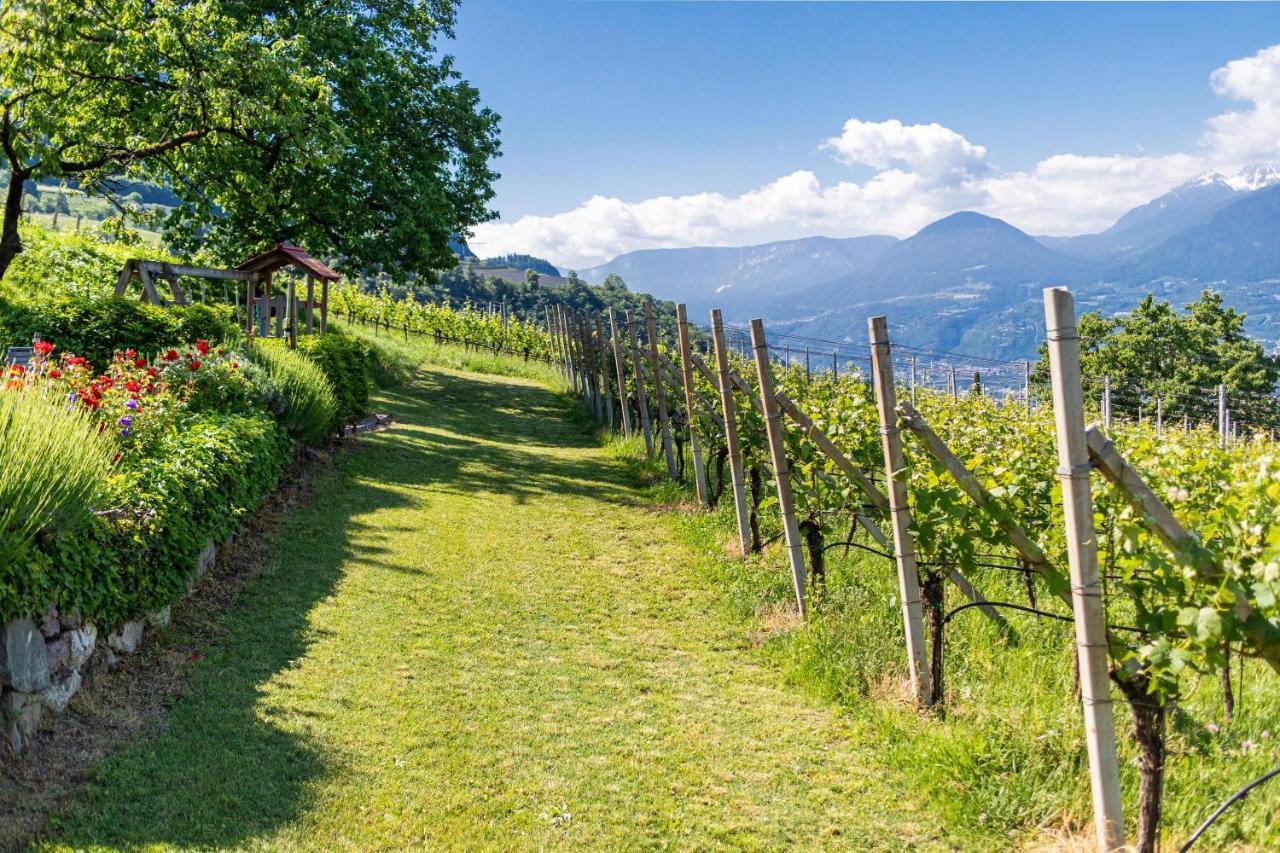 Pinot Apartment Meran