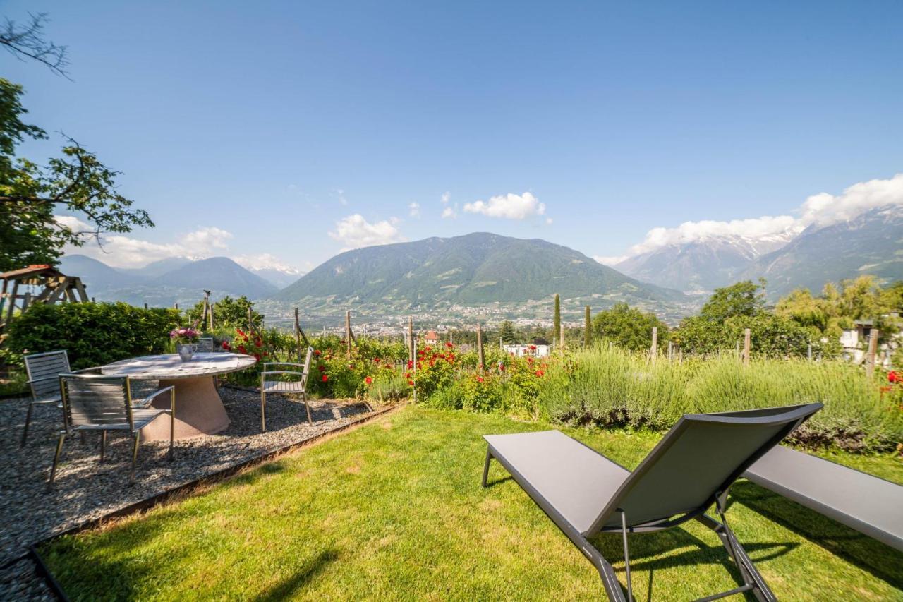 Pinot Merano